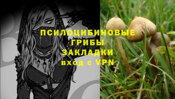 скорость Заводоуковск
