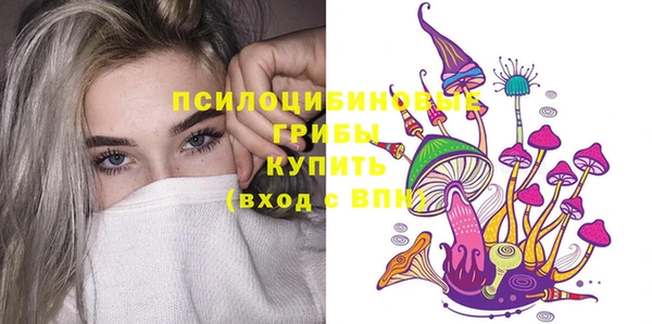 круглые Иннополис